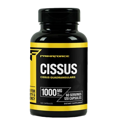 Cissus